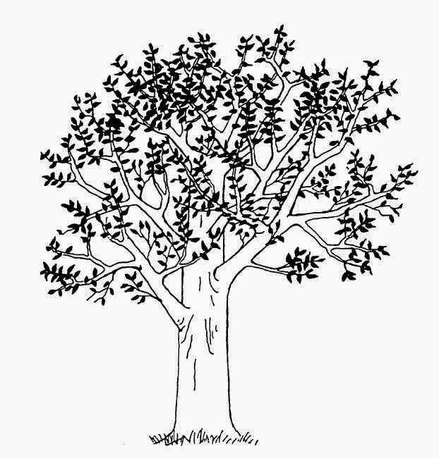 Tips Psikotest Part 2 : Sukses Ujian Gambar Pohon & Manusia