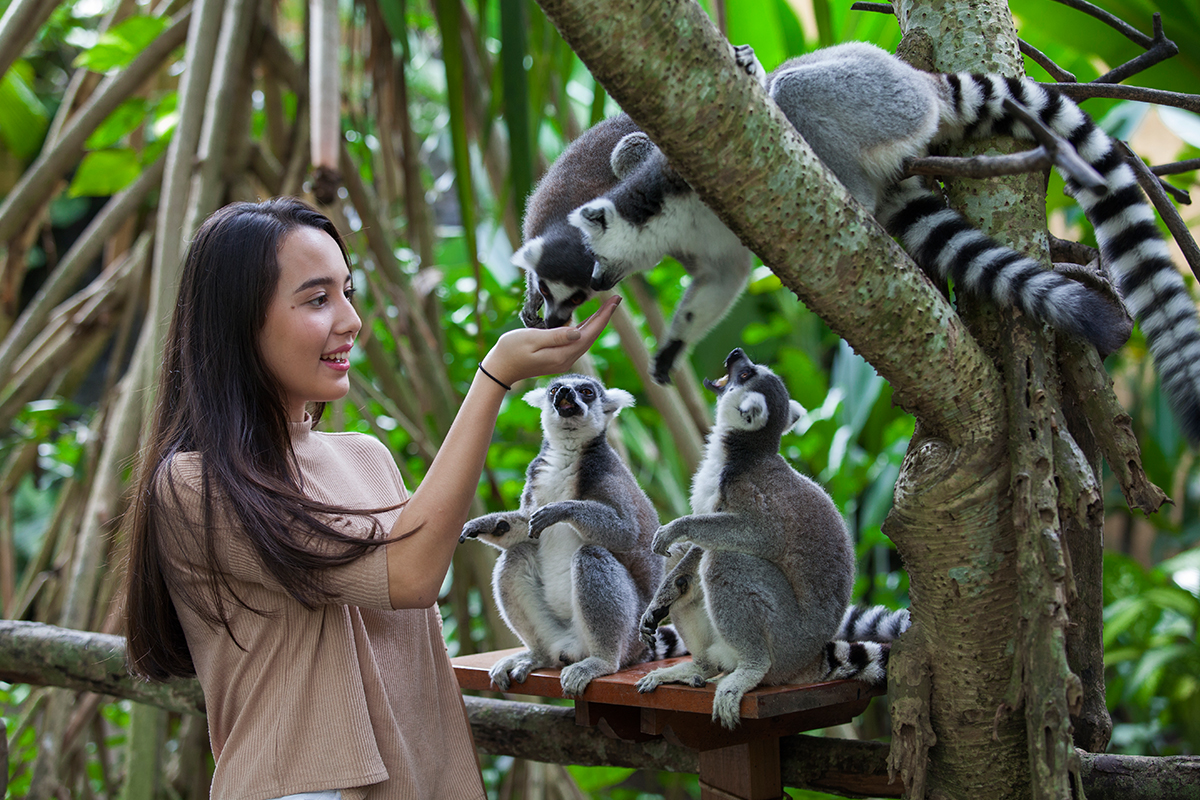 5 Kebun Binatang di Bali Mengisi Waktu Liburan 