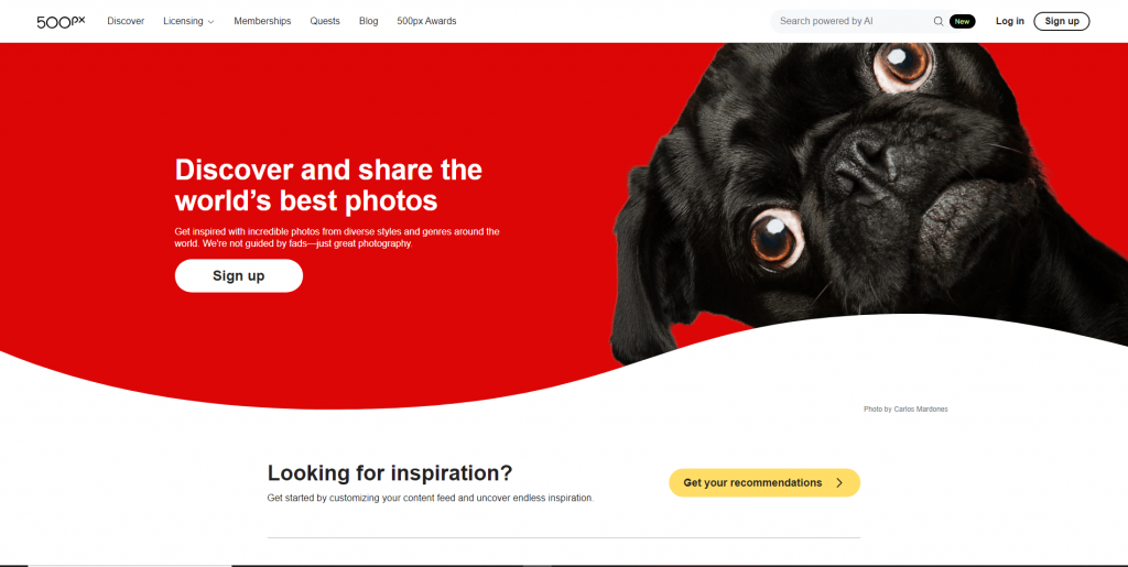 500px Website