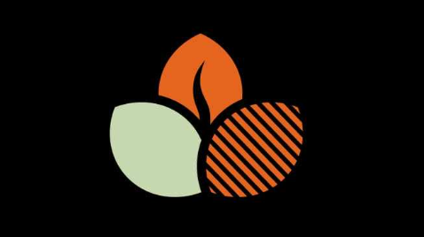 Wildflower Coffee