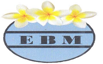 ERA BALI MESARI